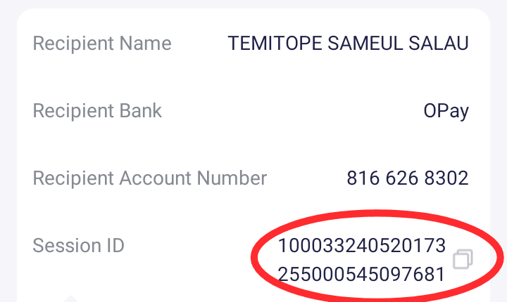 PalmPay Session ID Example PalmPay Session ID Example