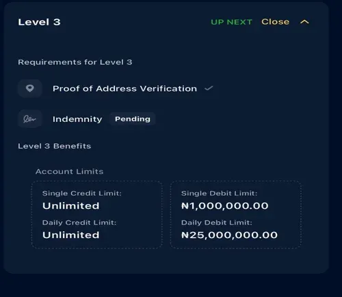 Moniepoint Tier 3 Account Limit Increase